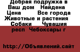 Добрая подружка,в Ваш дом!!!Найдена › Цена ­ 10 - Все города Животные и растения » Собаки   . Чувашия респ.,Чебоксары г.